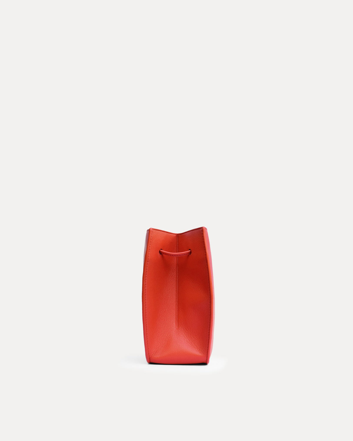 Pomme parrot red
